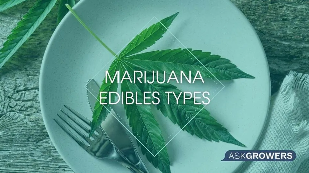 Marijuana Edibles Types: What Are the Options?