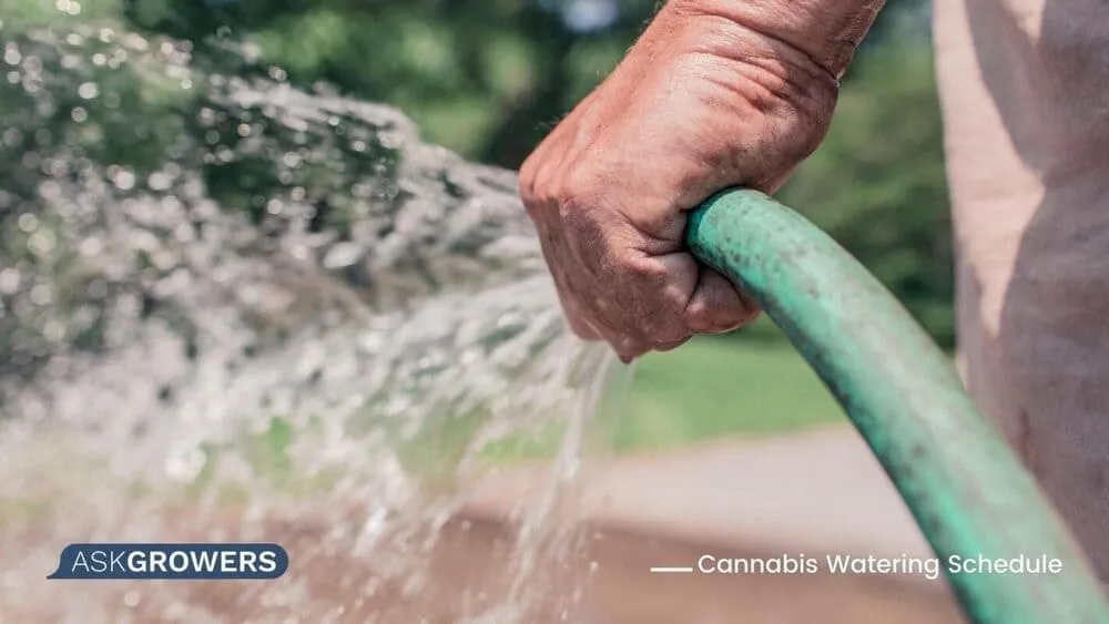 outdoor watering weed