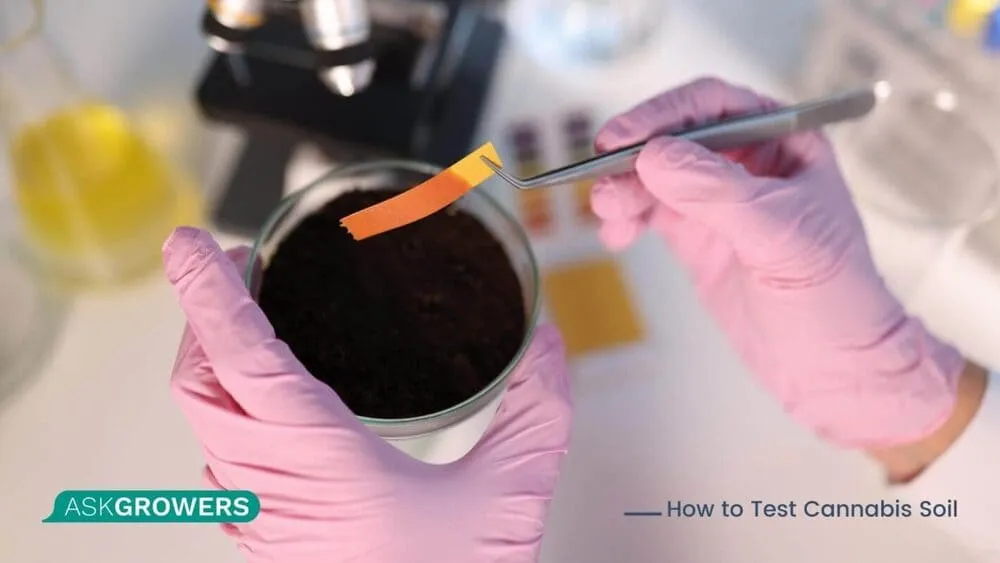 pH Measurement of Soil