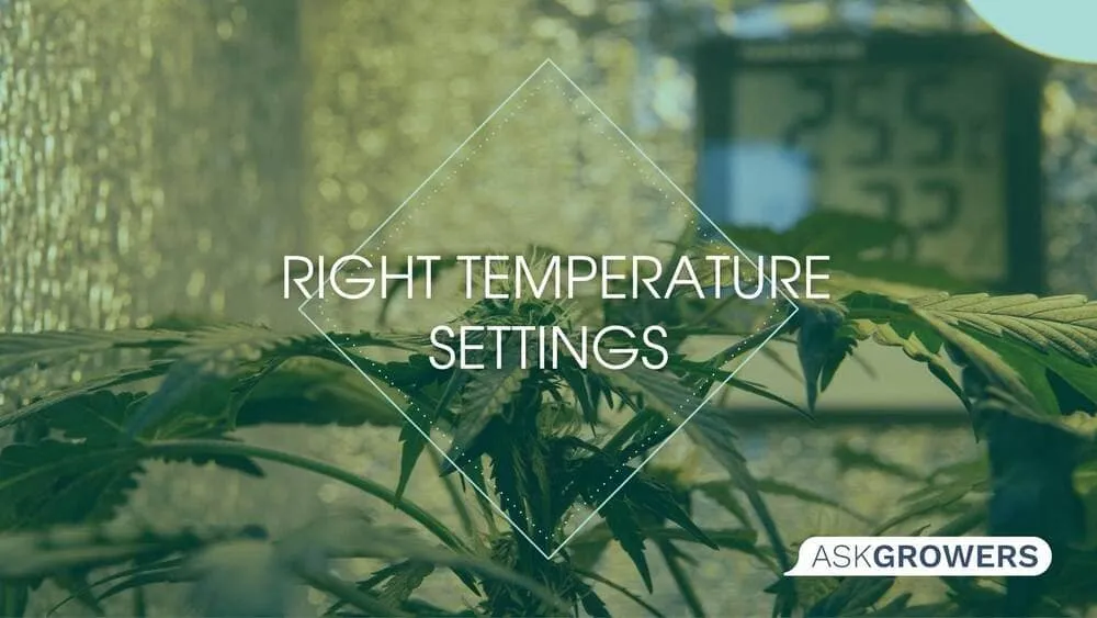 How to Set Up the Right Temperature Settings