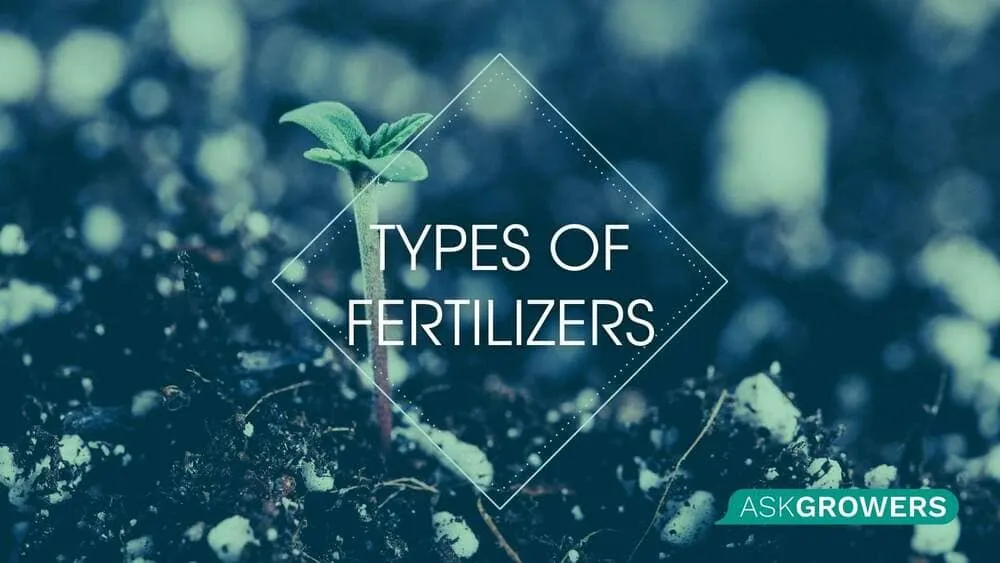 Types of Fertilizers and How to Choose Them