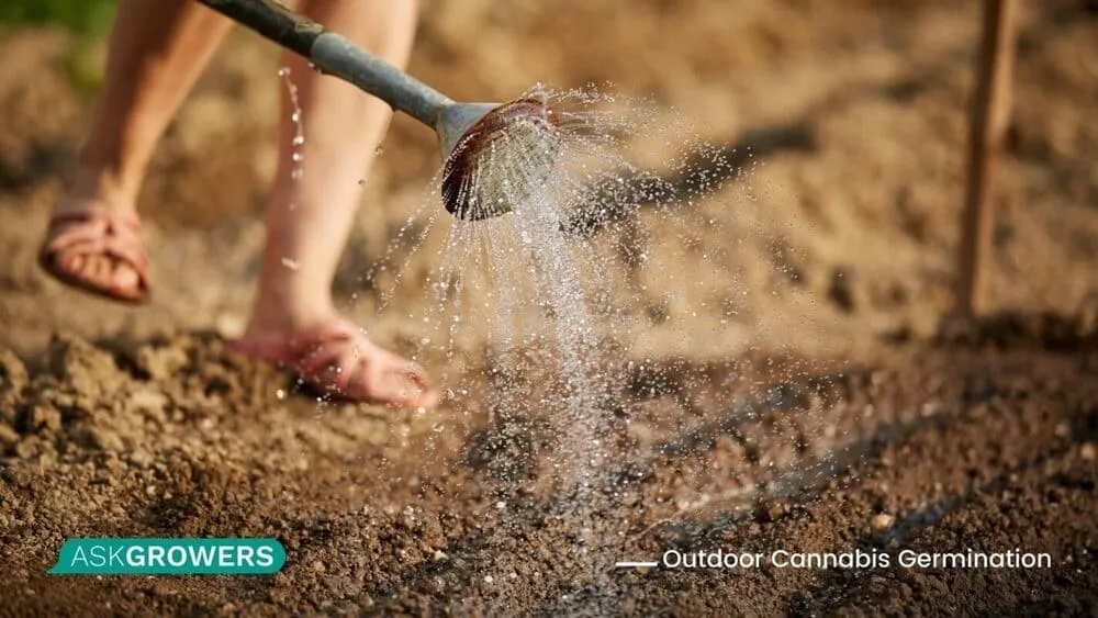 Watering Soil