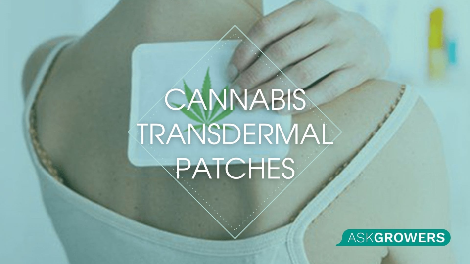 Everything You Need to Know About Cannabis Transdermal Patches