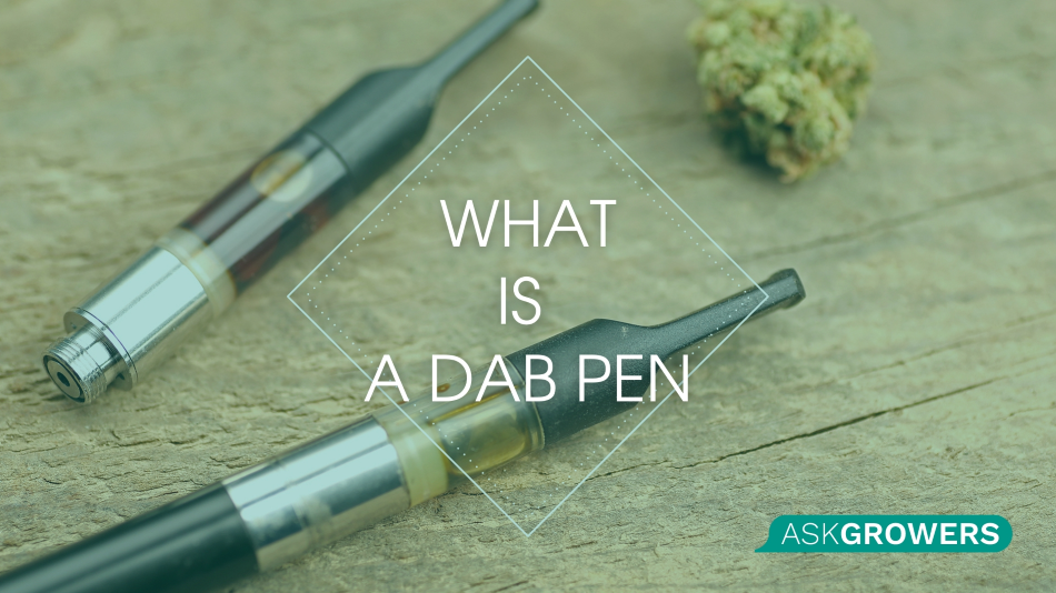 What is a Dab Pen and How to Use It?