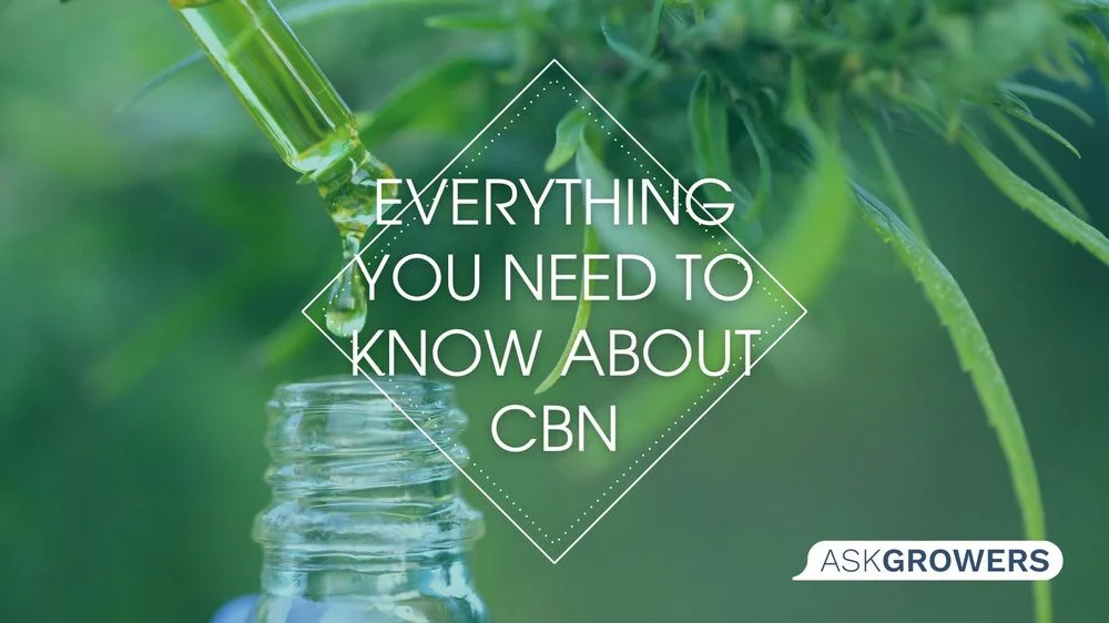 Everything You Need to Know About CBN