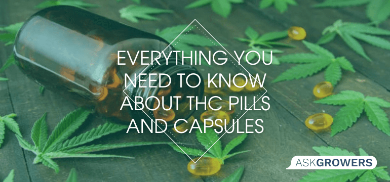 Everything You Need to Know About THC Pills and Capsules