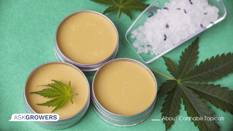 cannabis lotion