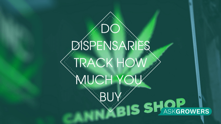 Do Dispensaries Track How Much You Buy?