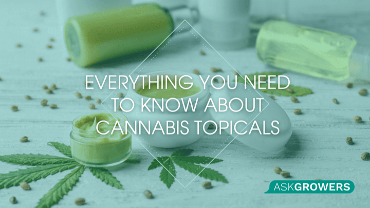 Everything You Need to Know About Cannabis Topicals