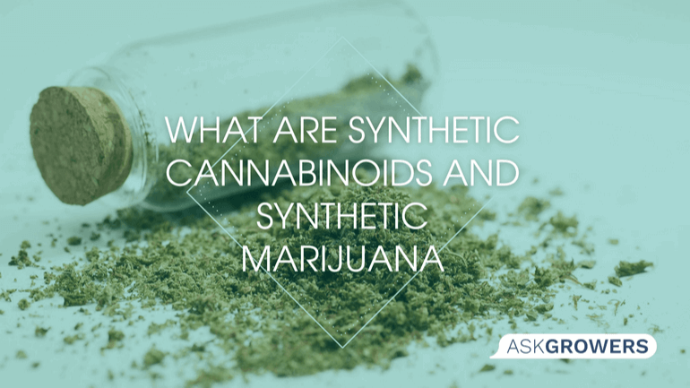 What Are Synthetic Cannabinoids and Synthetic Marijuana