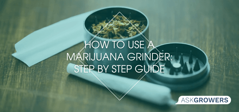 How to Use a Marijuana Grinder: Step by Step Guide