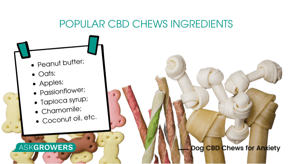 Dog CBD Chews for Anxiety