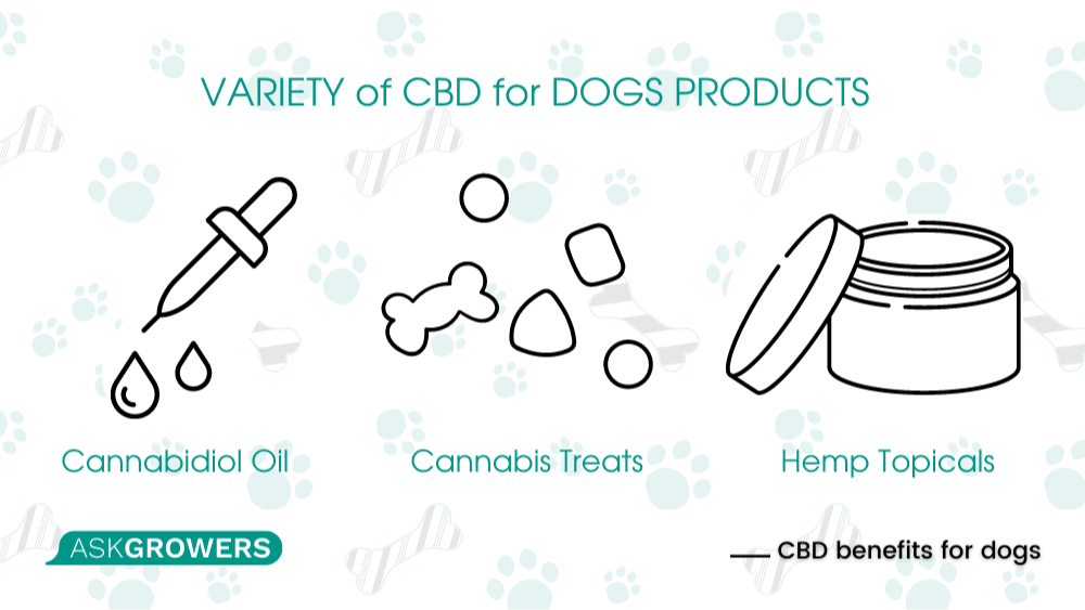 cbd medicine for dogs