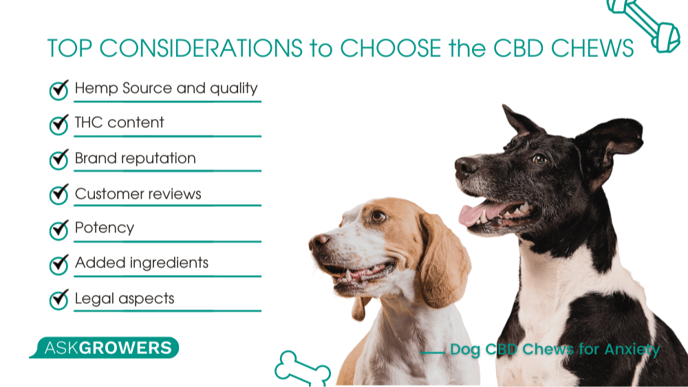 calming CBD chews for dogs