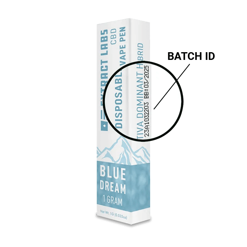 CBD Disposable Vape Blue Dream image_3