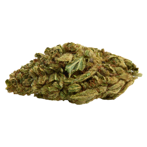 Gorilla Lemon Fire Seeds for sale