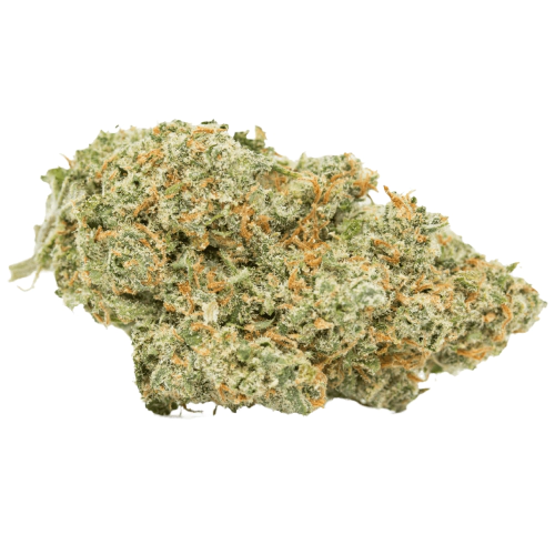 CBD Mamba Negra Seeds for sale