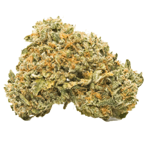 Lemon Vuitton Strain  Loui Vuitton Strain  Lemon 36 Strain Info Review  Effects