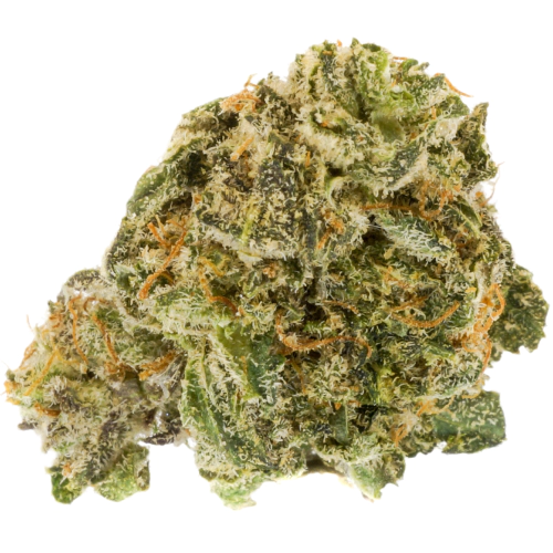 Cb Dutch Treat Seeds for sale