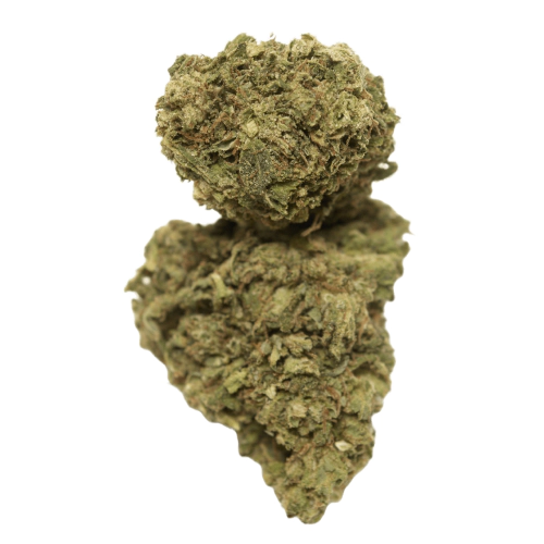 Bubblegum Haze Seeds logo