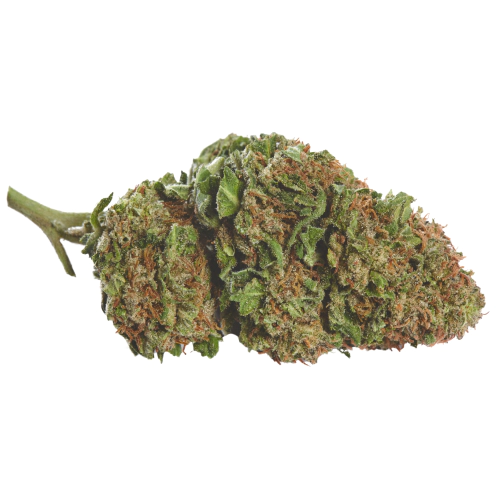 Sour Girl Seeds for sale