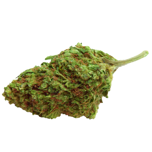 Grape Crush Gelato Seeds for sale