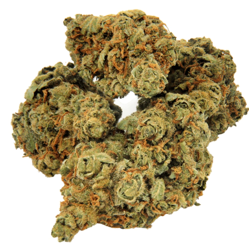 Harlequin Kush Seeds logo