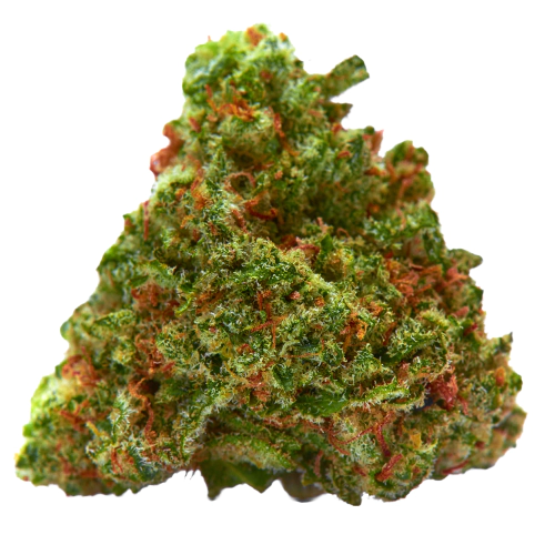 Pelirroja strain photo 1