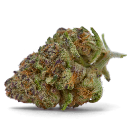 Monster Bruce Banner Seeds logo