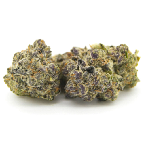 Critical Chaze Seeds for sale