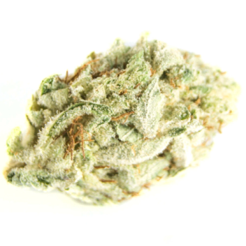 Sour OG Seeds for sale