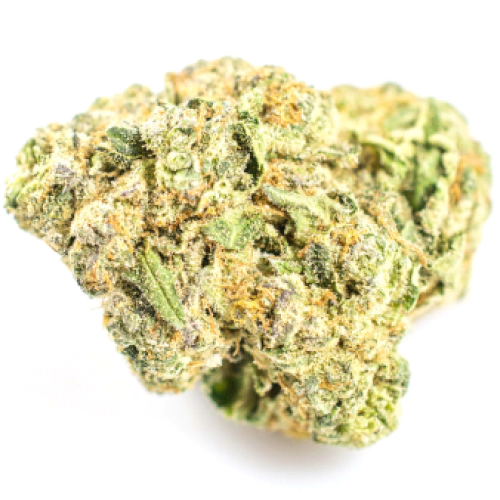 P-91 strain photo 1