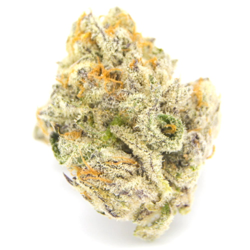 Starfighter strain photo 1