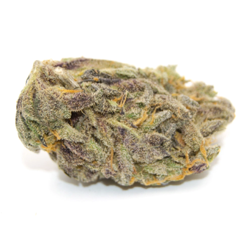 Exodus Cheese Seeds for sale