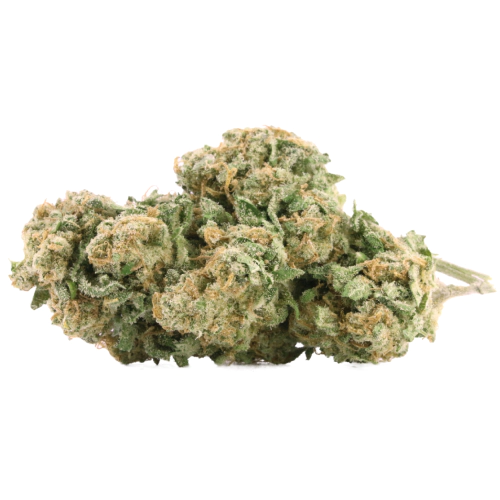 CBD Critical Mass Seeds for sale