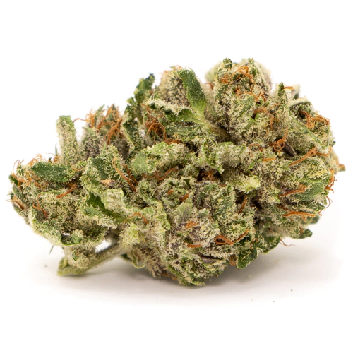 Space Cookies Seeds for sale