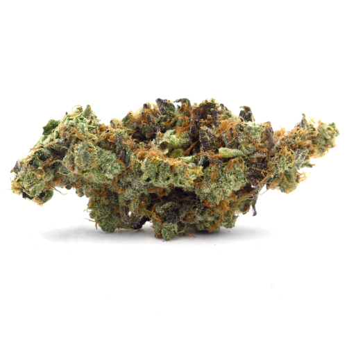 Black Cadillac Seeds for sale