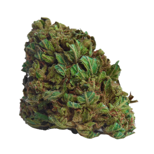 Skunk Seeds for sale