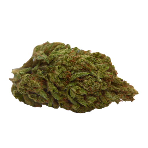 Colorado Green Bud strain photo 1