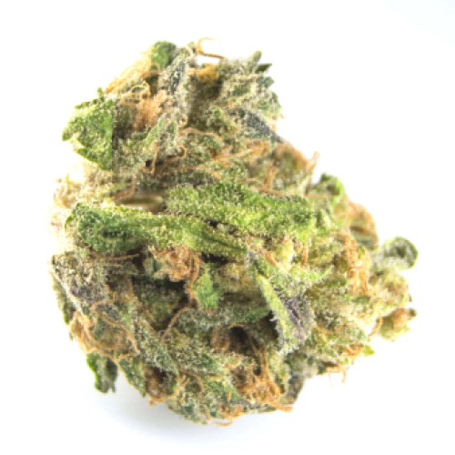 Cereal Killer strain photo 1