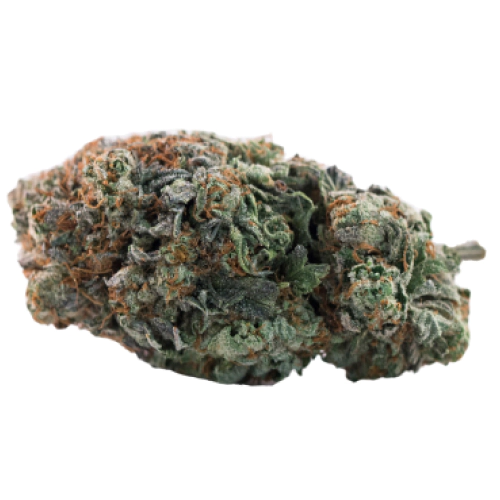 Gorilla Cake Seeds for sale