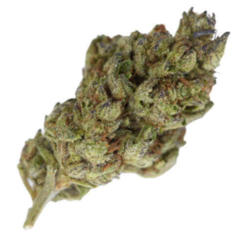 Candy Kush Seeds for sale