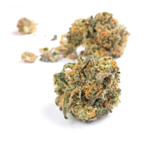 Mochi Strain & Seeds Detailed Review