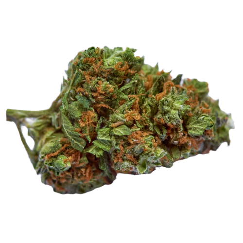 Bubba Kush Seeds logo