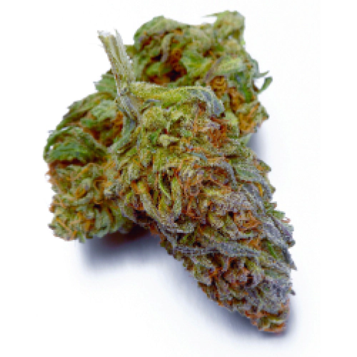 Face On Fire strain photo 1