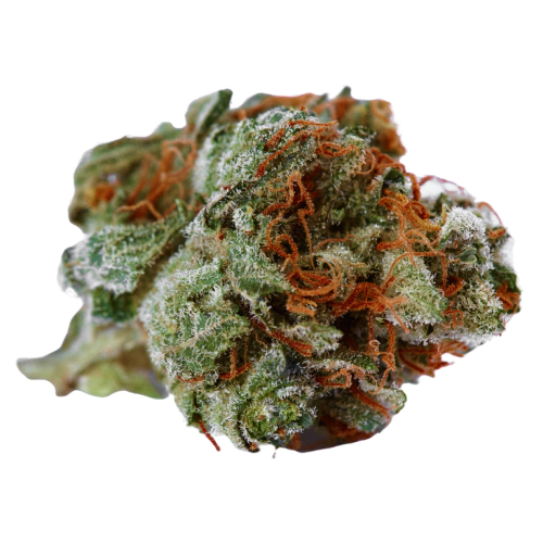 British Columbian strain photo 1