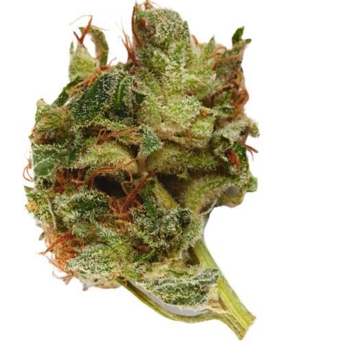 Cali Orange Bud strain photo 1