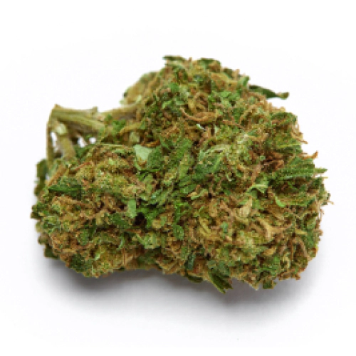 Super Critical Seeds for sale