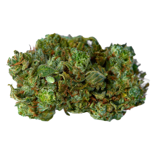 Kosher Kush Seeds for sale