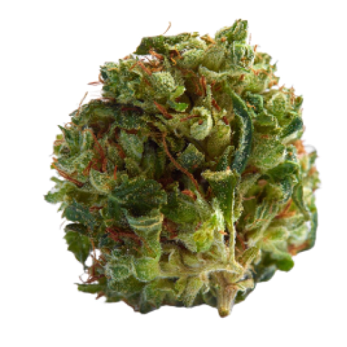 Lemon Kush Seeds for sale